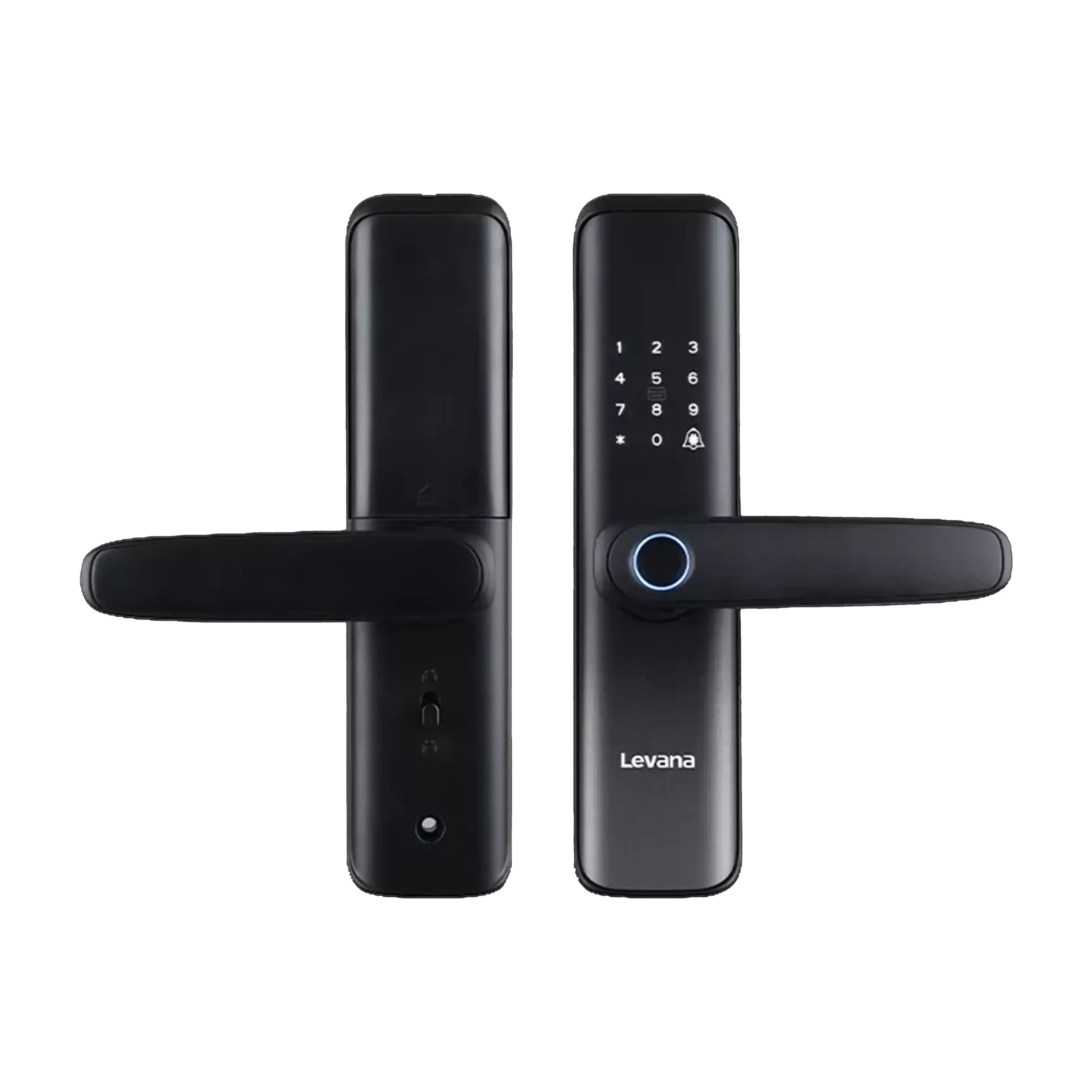 D01i-2787-Levana