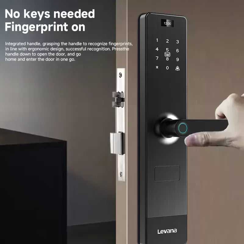 K80 i-2786-Levana