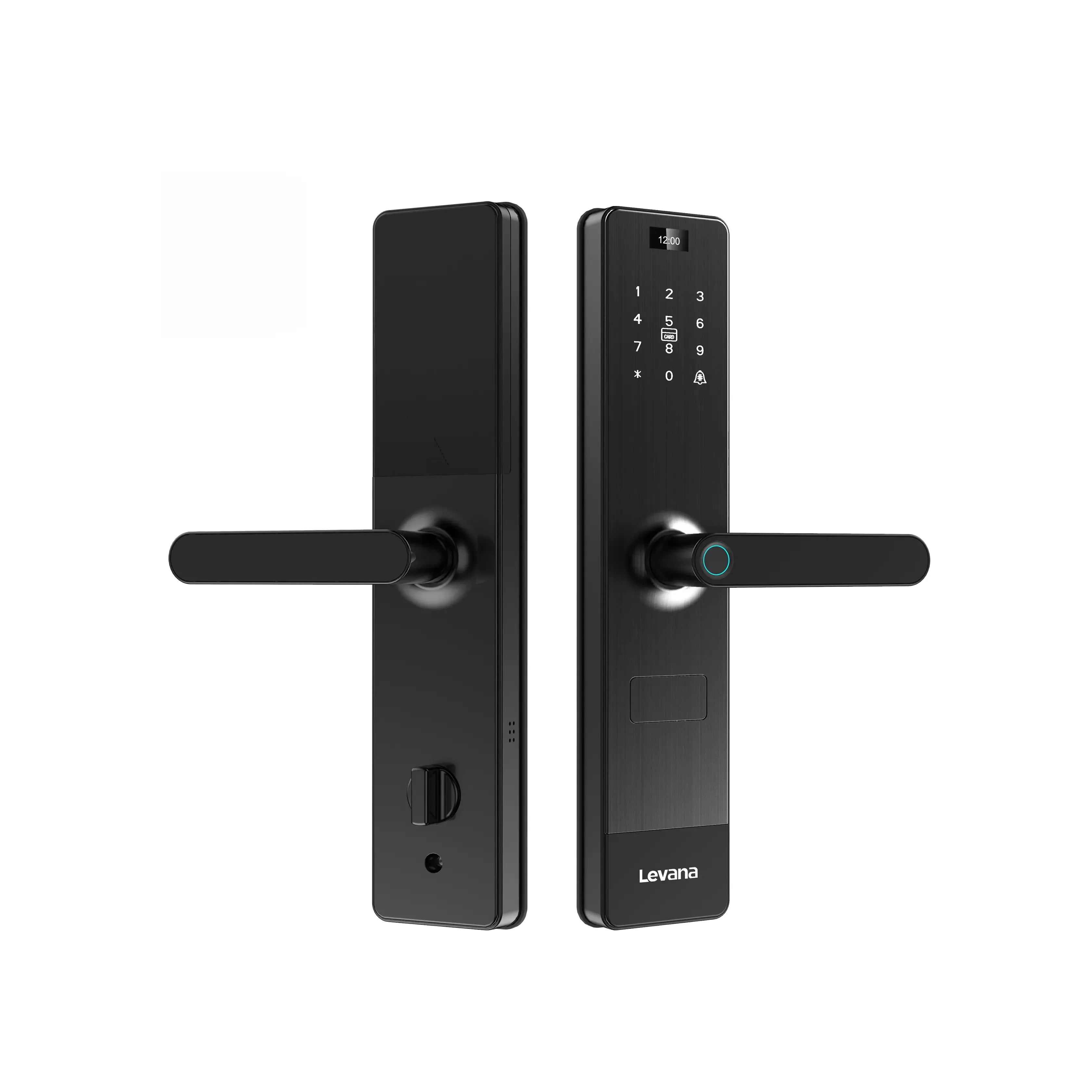 K80 i-2786-Levana
